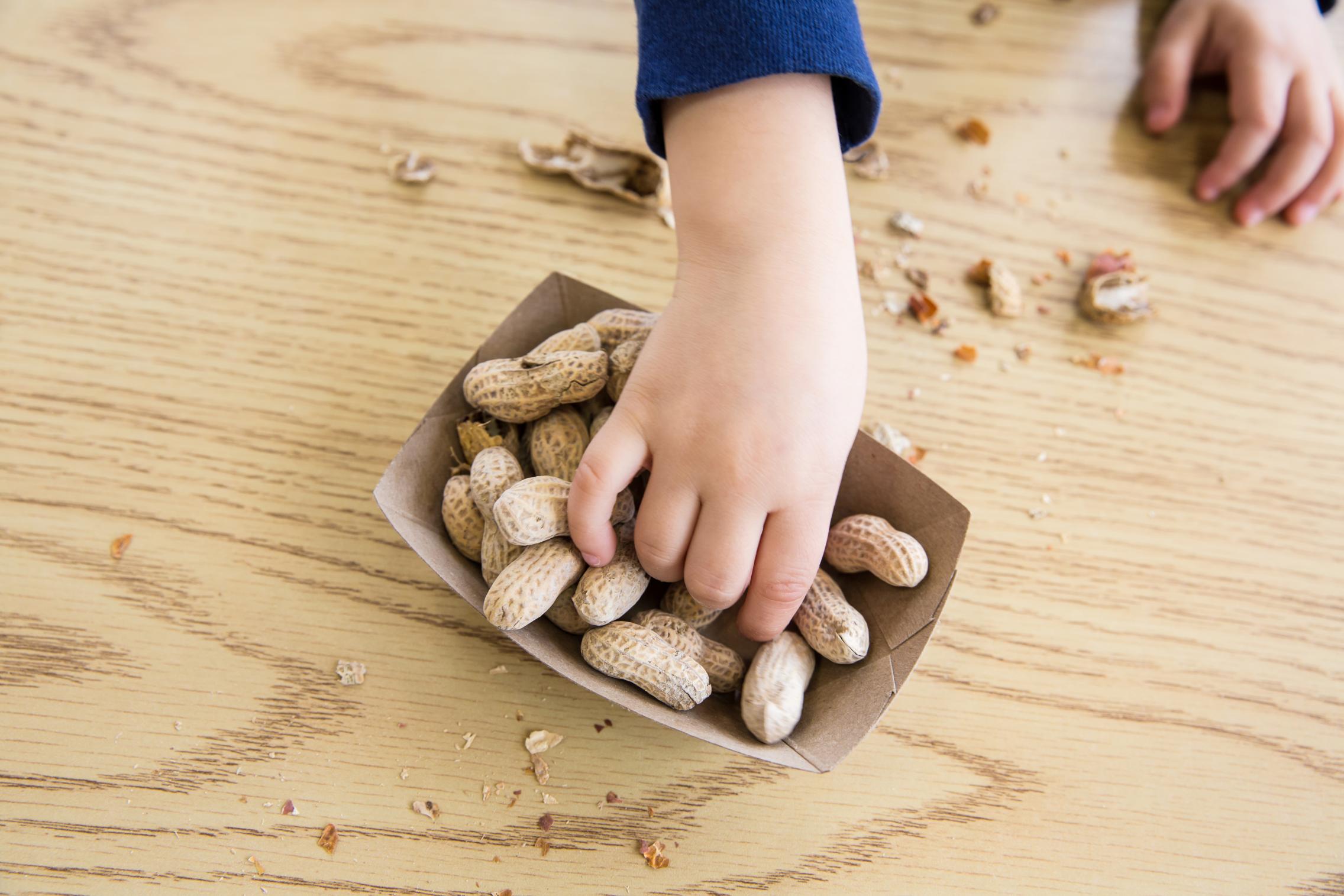 Paving Way Towards Safer Treatment For Peanut Allergies In Children ...